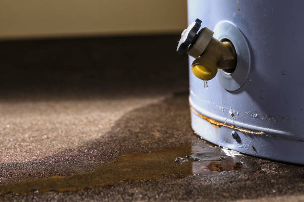 Best Water damage mitigation services  in Port Orchard, WA