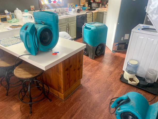 Best Carpet water damage restoration  in Port Orchard, WA