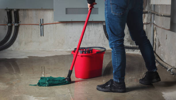 Best Water damage contractors near me  in Port Orchard, WA
