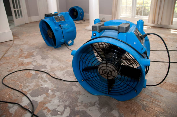 Professional Water damage restoration in Port Orchard, WA