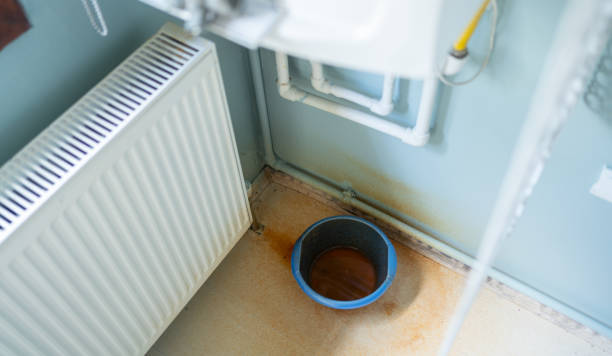 Best Mold removal after water damage  in Port Orchard, WA