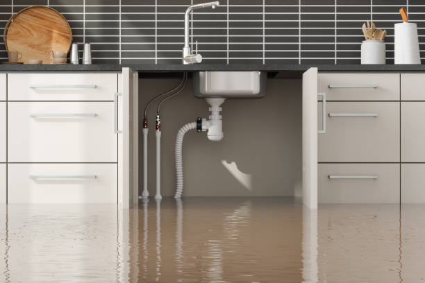 Best Basement water damage restoration  in Port Orchard, WA