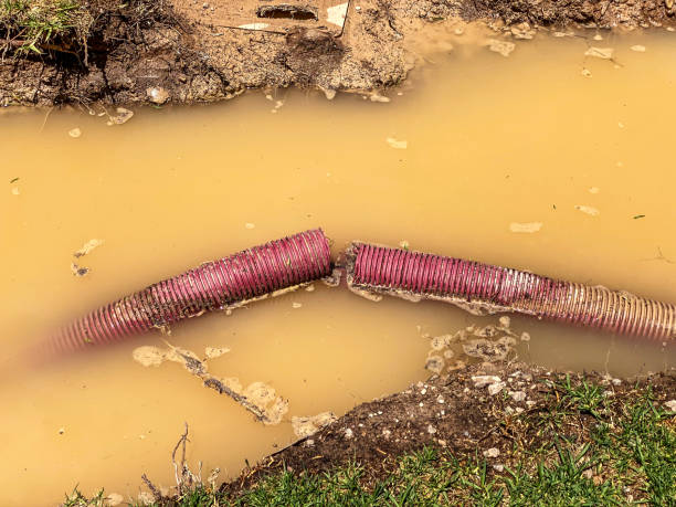 Best Flood damage cleanup  in Port Orchard, WA